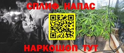 гидра Ливны