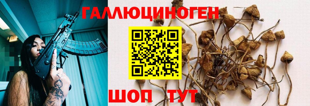 Унеча  Псилоцибиновые грибы прущие грибы  Псилоцибиновые грибы Magic Shrooms  где купить наркоту  Вход с VPN 
