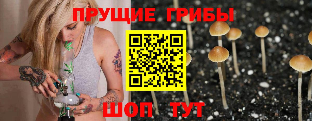 Псилоцибиновые грибы Cubensis Унеча